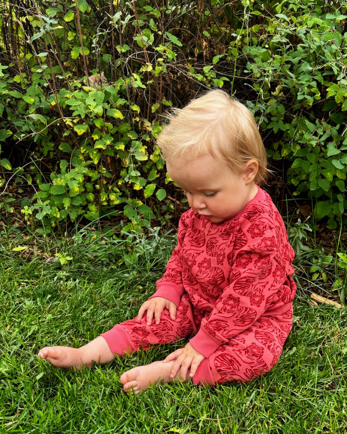 Lewis - Baby Sweatshirt - Tiger | Spice