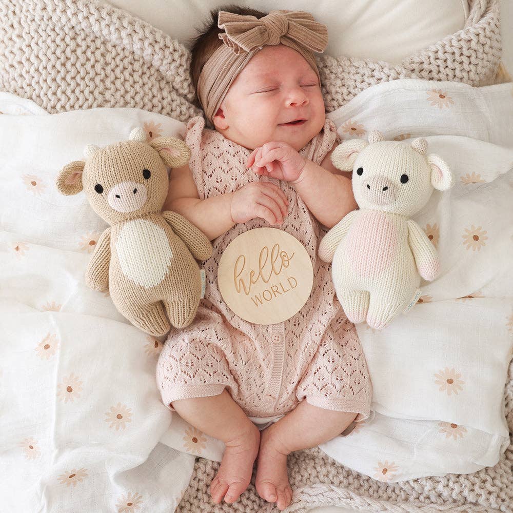 cuddle+kind - Baby cow (jersey), gives 5 meals