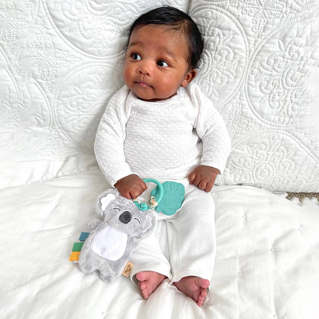 Itzy Ritzy - Itzy Pal™ Plush + Teether