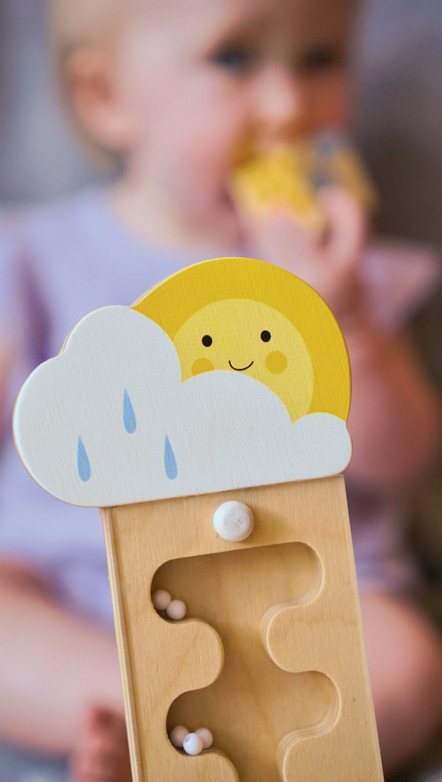 Tender Leaf Toys - Rainmaker