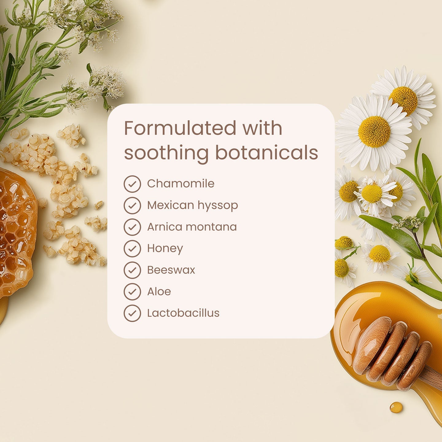 The Buddle Diaper Skincare System - online purchase only