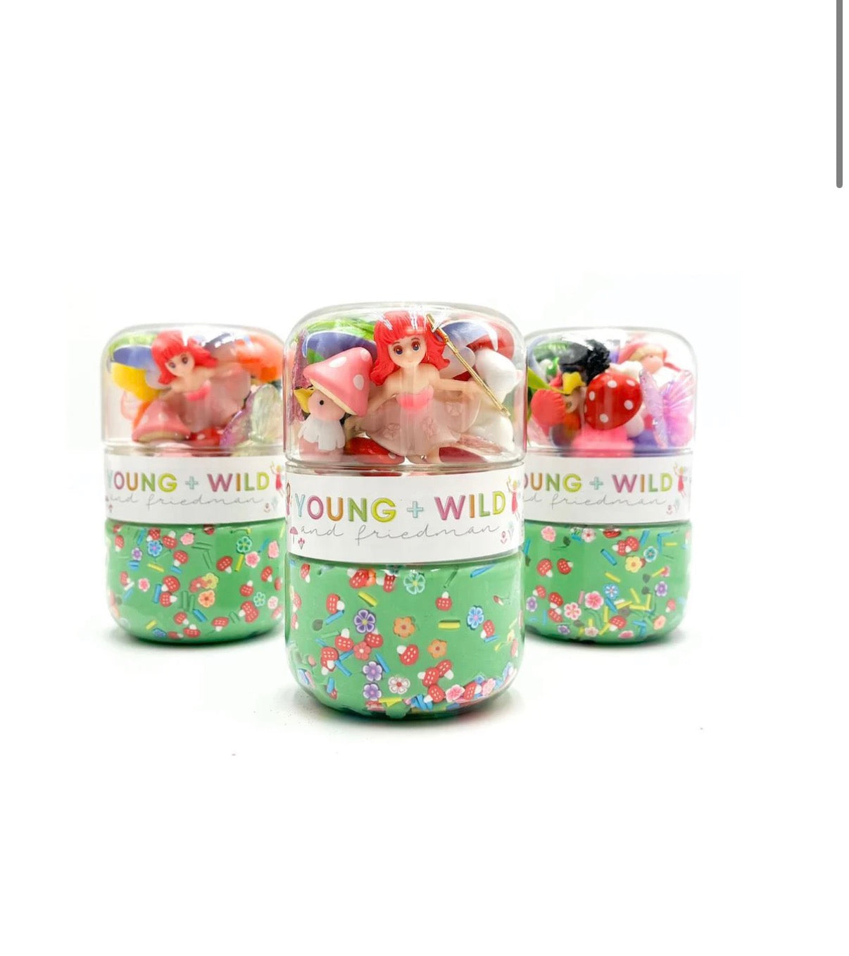 Young, Wild and Friedman - Grab & Go Dough Jar - Fairy