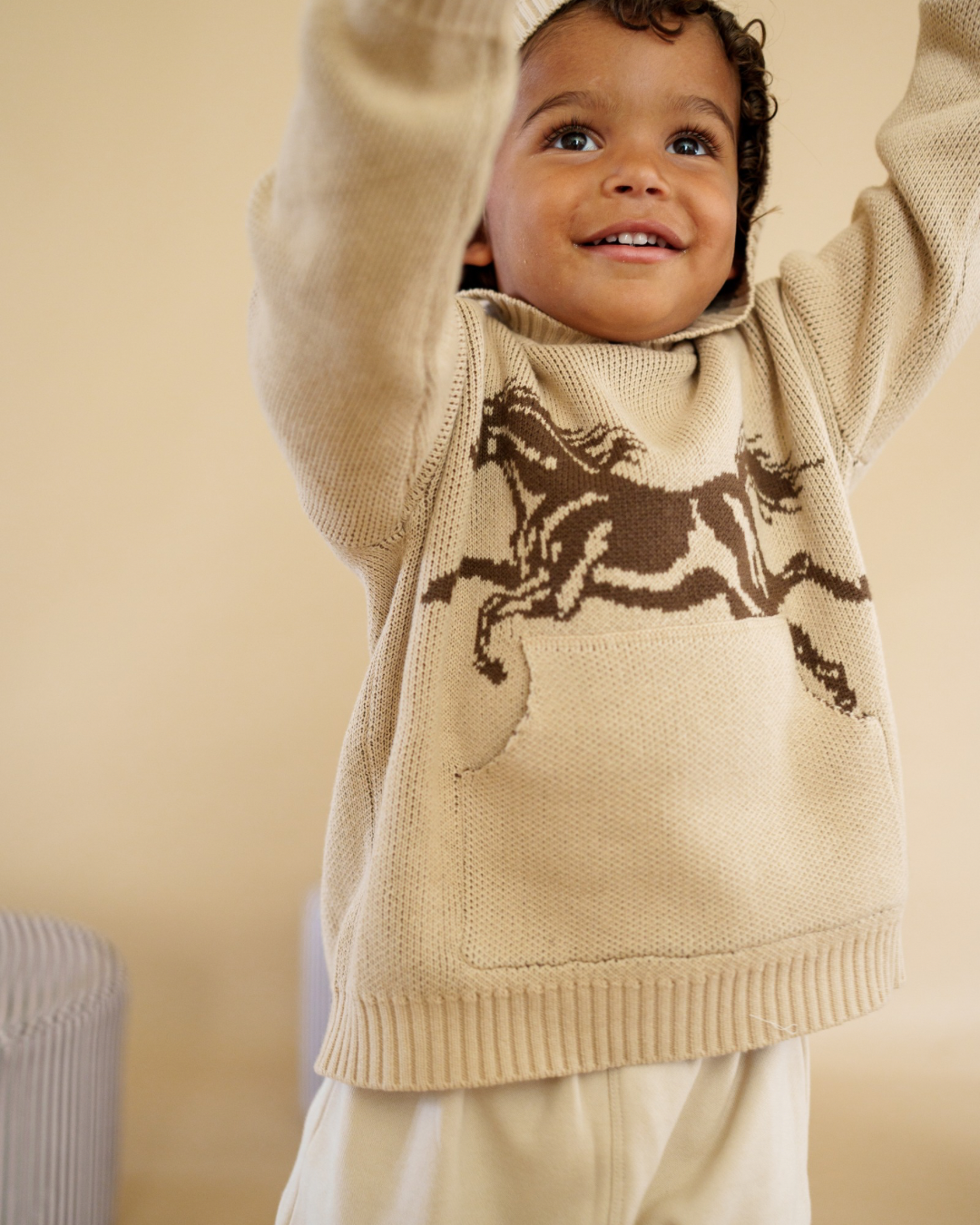 Atlas Grey - Horse Knit Hoodie
