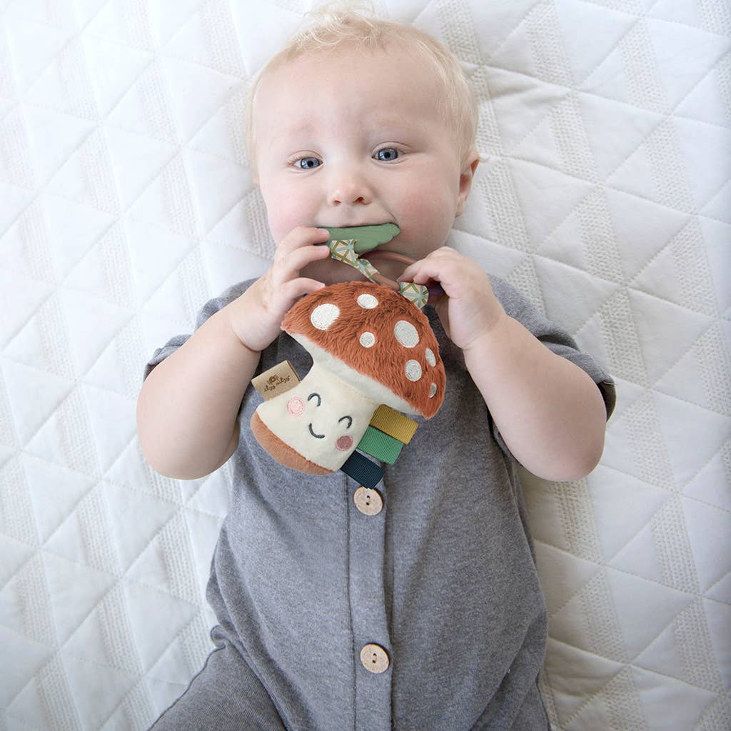 Itzy Ritzy - Itzy Pal™ Plush + Teether