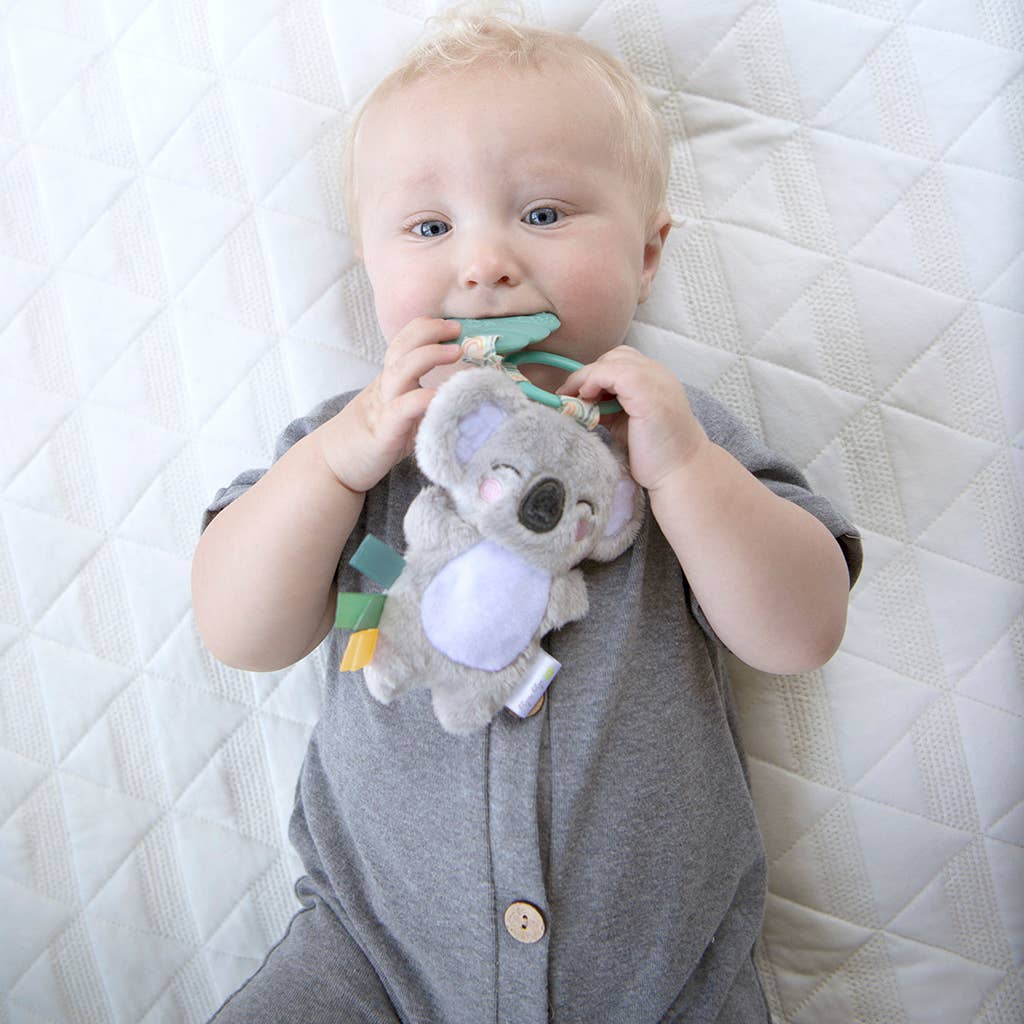 Itzy Ritzy - Itzy Pal™ Plush + Teether