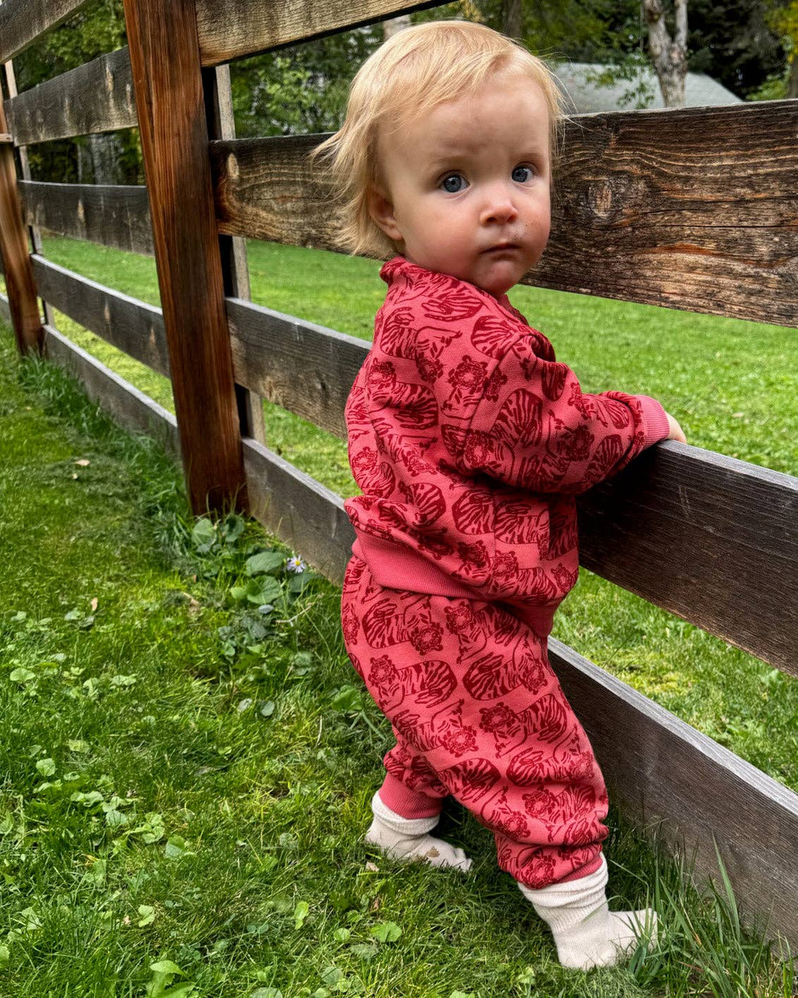 Lewis - Baby Sweatshirt - Tiger | Spice