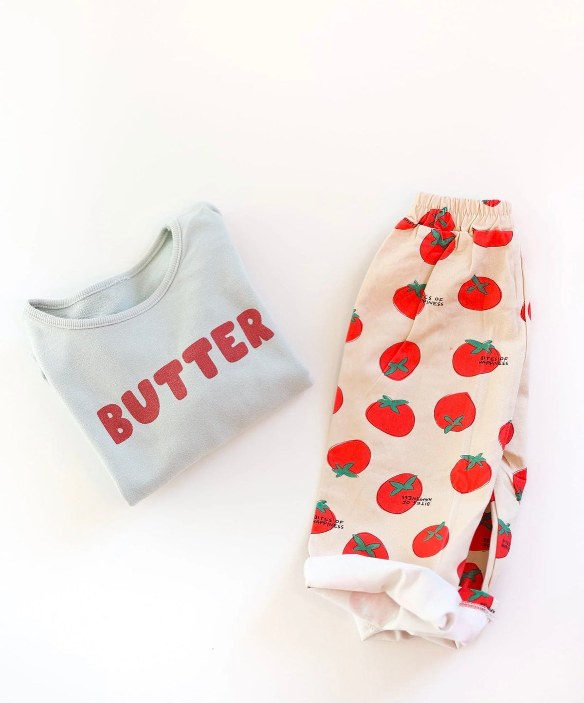 Pigeon Said Please - pigeon said butter sweatshirt - mint