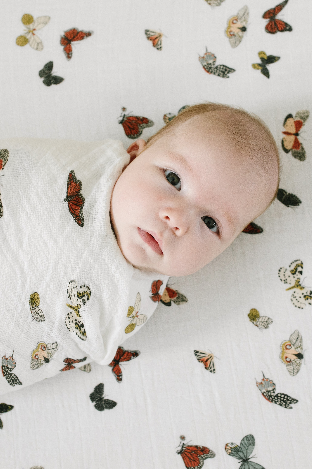 Clementine Kids - Butterfly Migration Crib Sheet