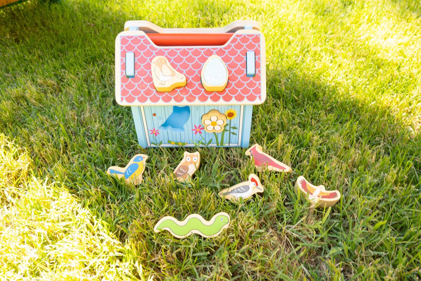 Jack Rabbit Creations - Bird House Sorter Box