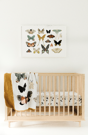 Clementine Kids - Butterfly Collector Quilt