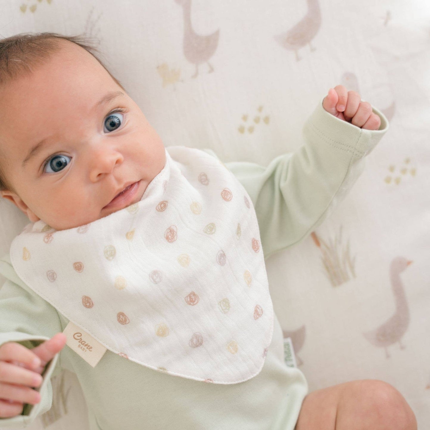 Crane Baby - Charlie 3-pc. Farmhouse Goose Bib Set