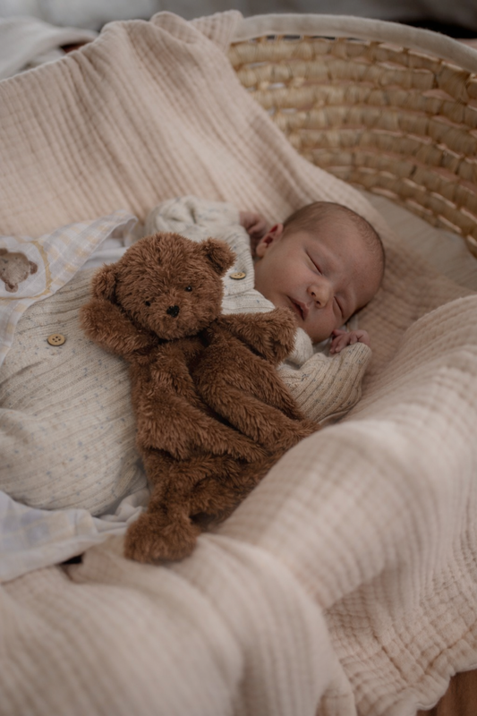 Pop Ya Tot - Little Ted Comforter Toy