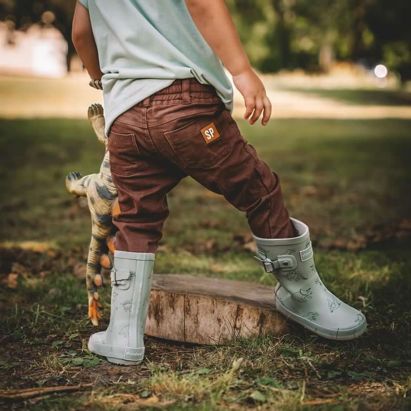 DINO ROAR - online purchase only