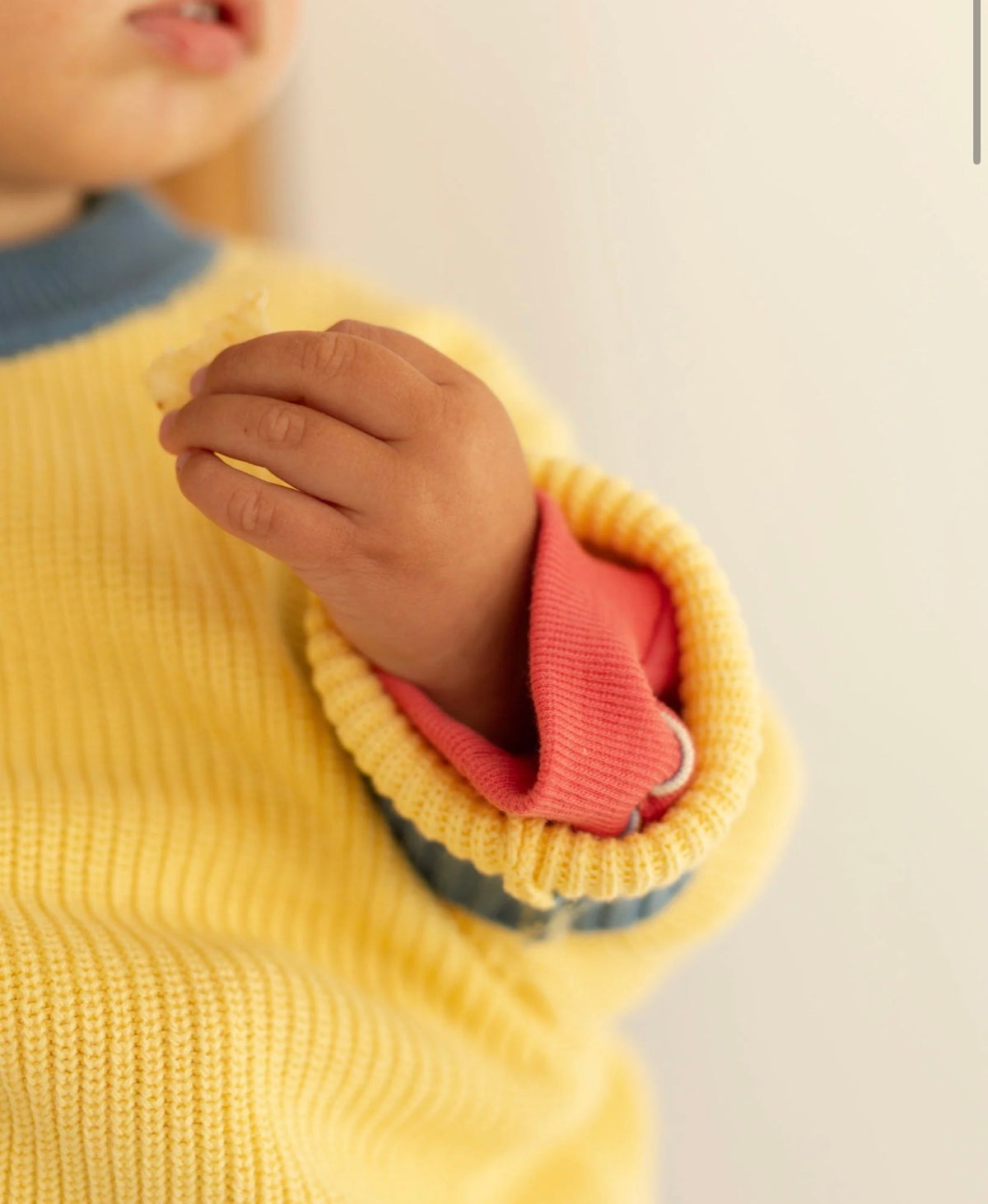 Pigeon Said Please - Honey Toast Chunky Knit