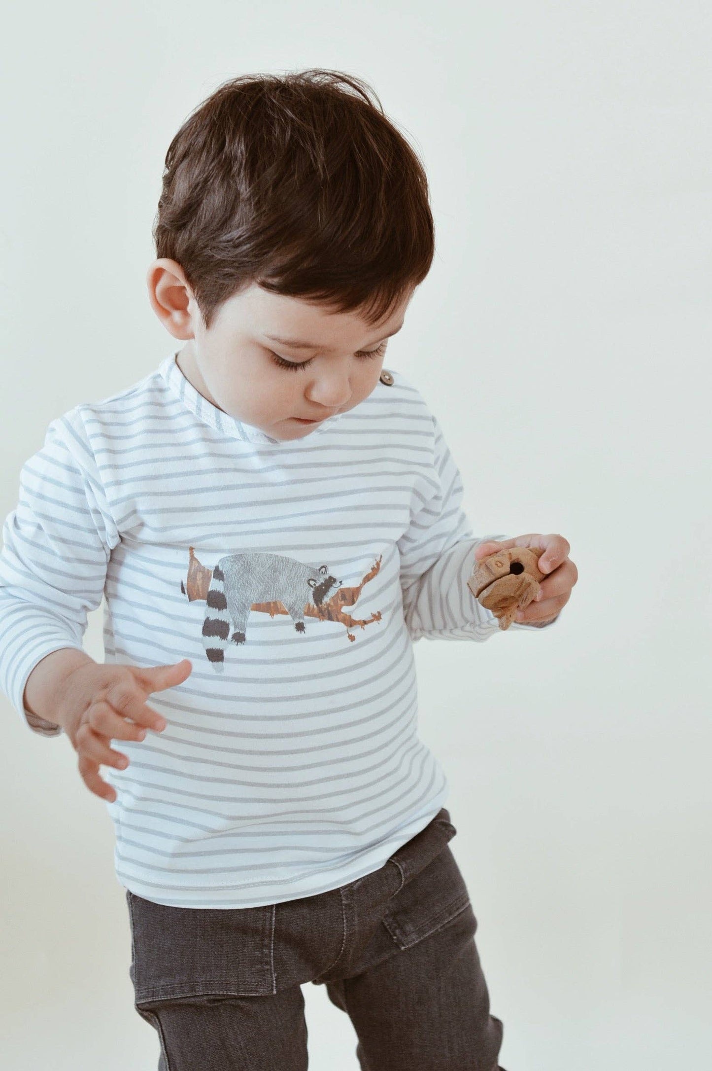 Baby /Kid Long Sleeves T-shirt Raccoon Print: 2-3Y