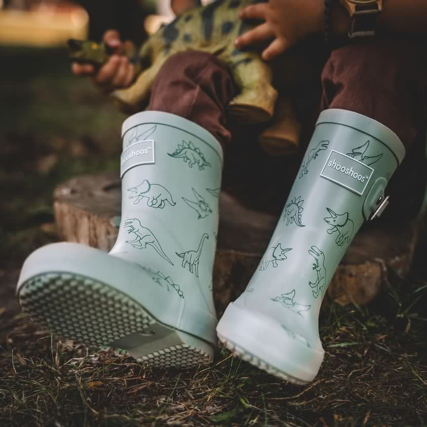 DINO ROAR - online purchase only