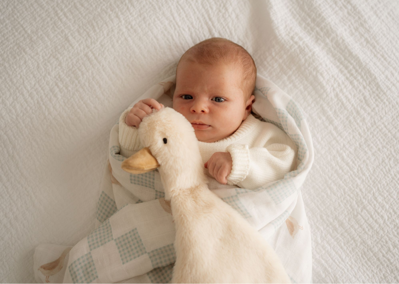 Pop Ya Tot - Waddles the Goose Comforter Toy