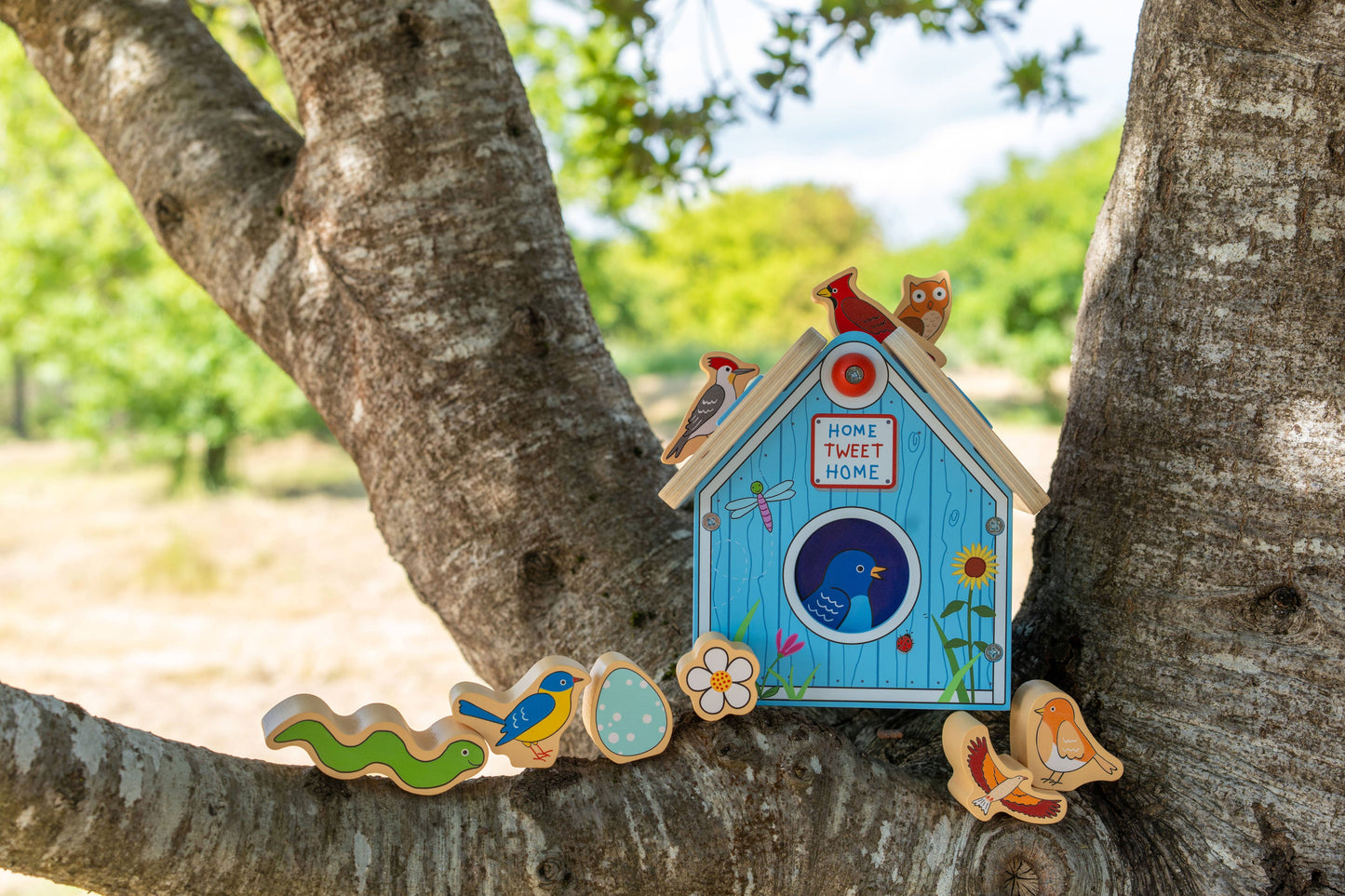 Jack Rabbit Creations - Bird House Sorter Box