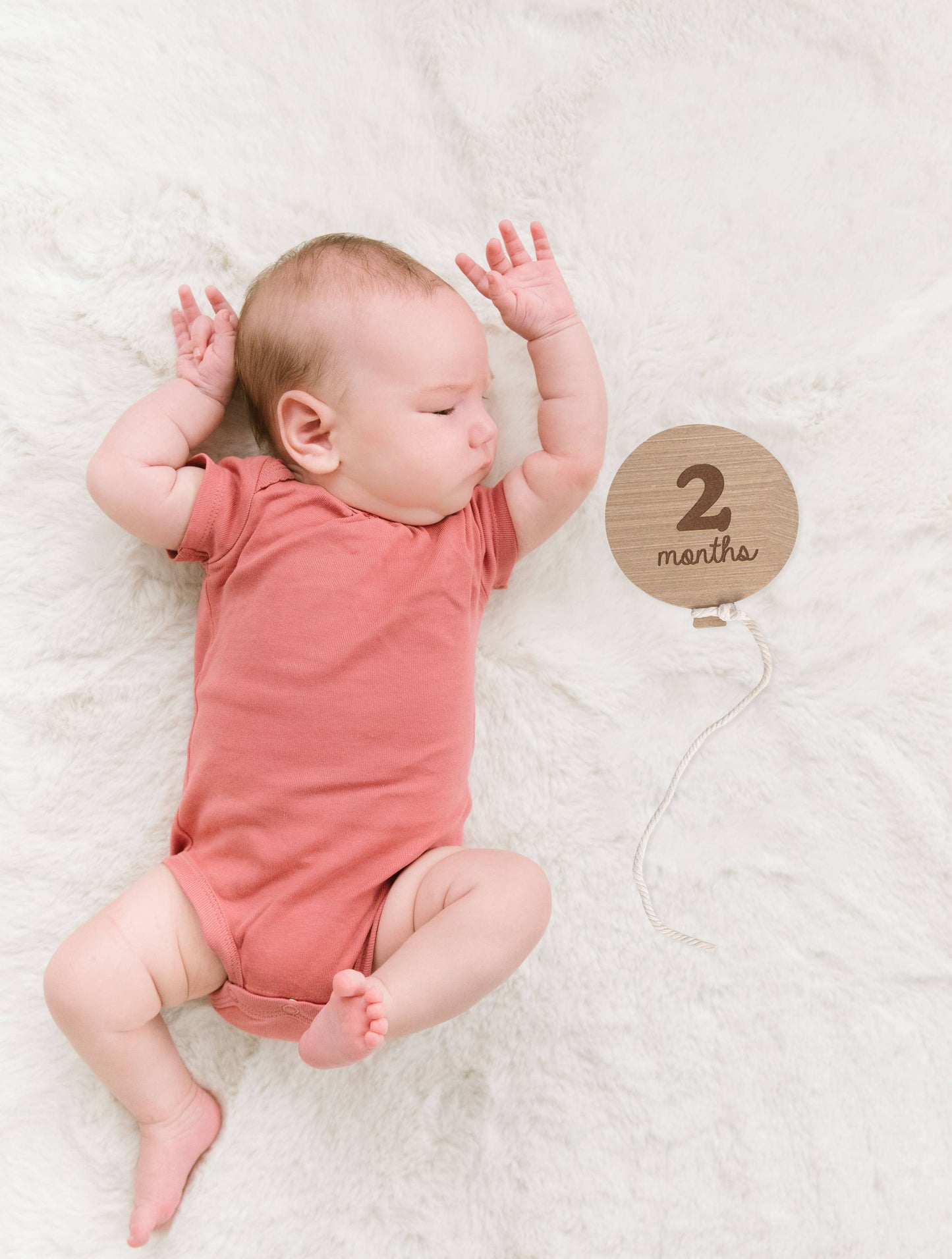 Kate & Milo - Balloon Milestone Photo Prop Cards