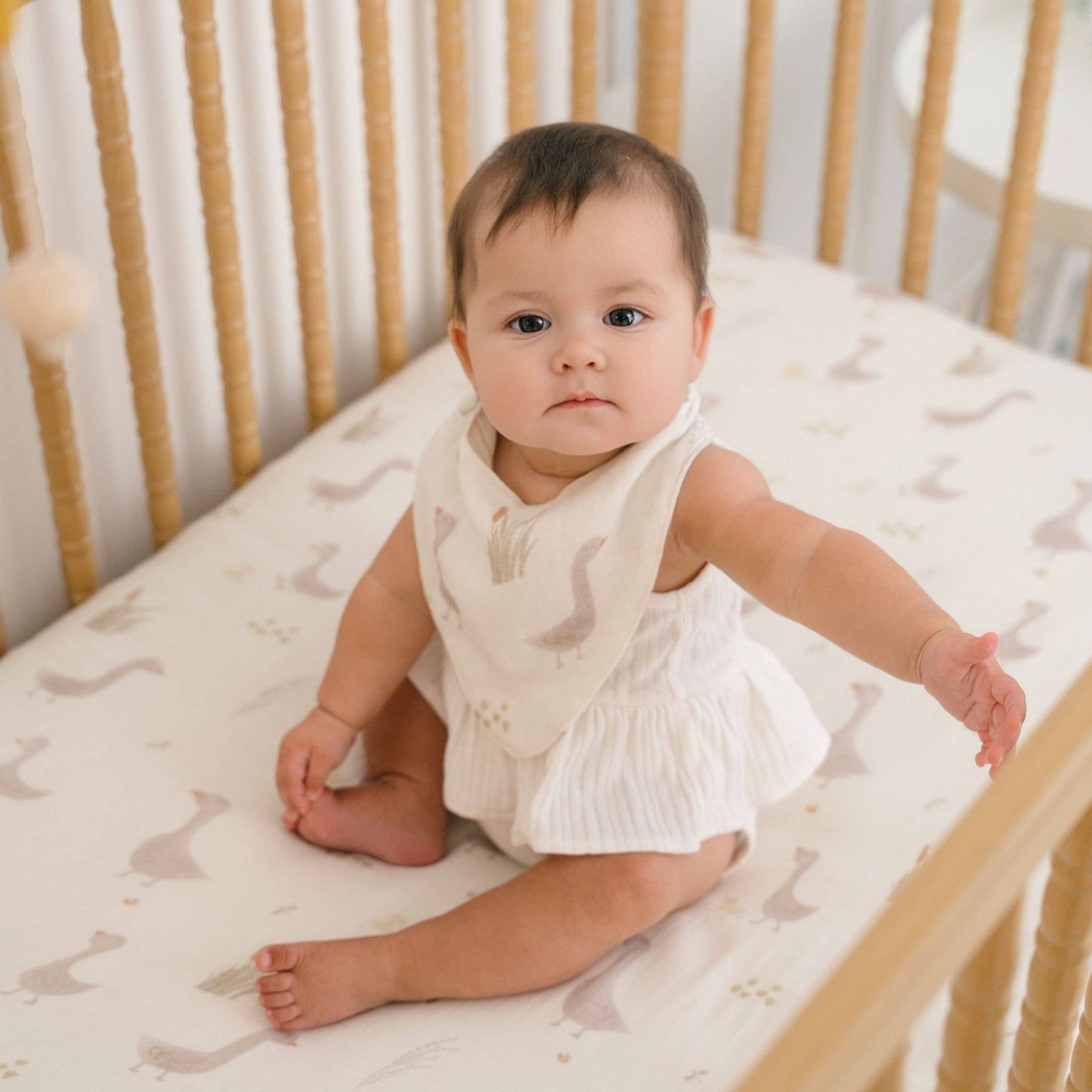 Crane Baby - Charlie 3-pc. Farmhouse Goose Bib Set