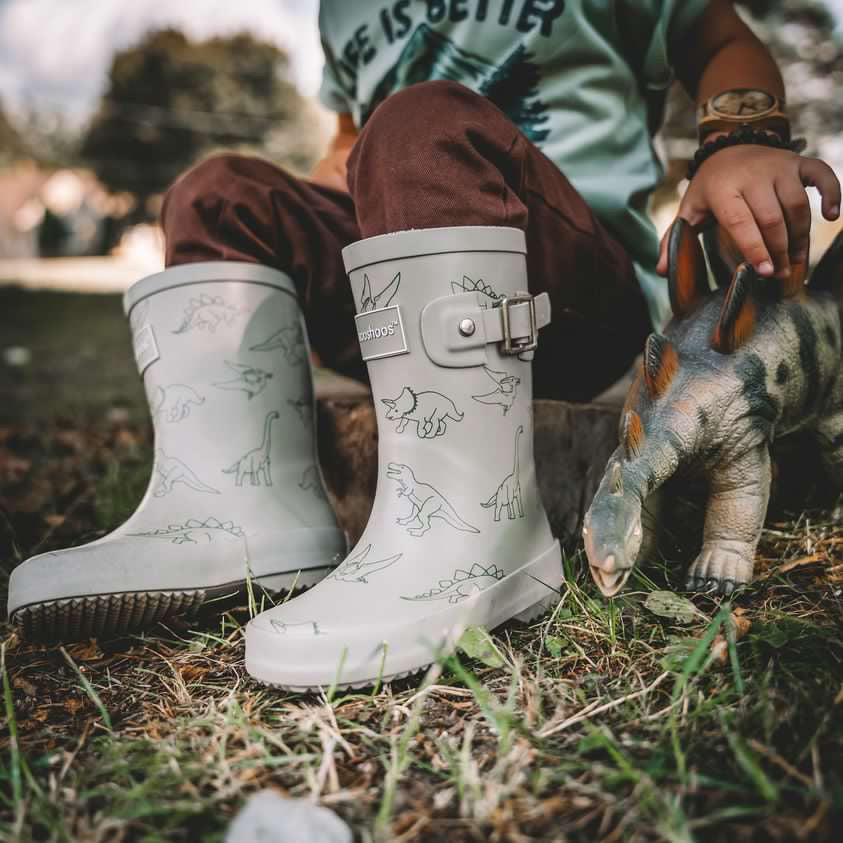 DINO ROAR - online purchase only