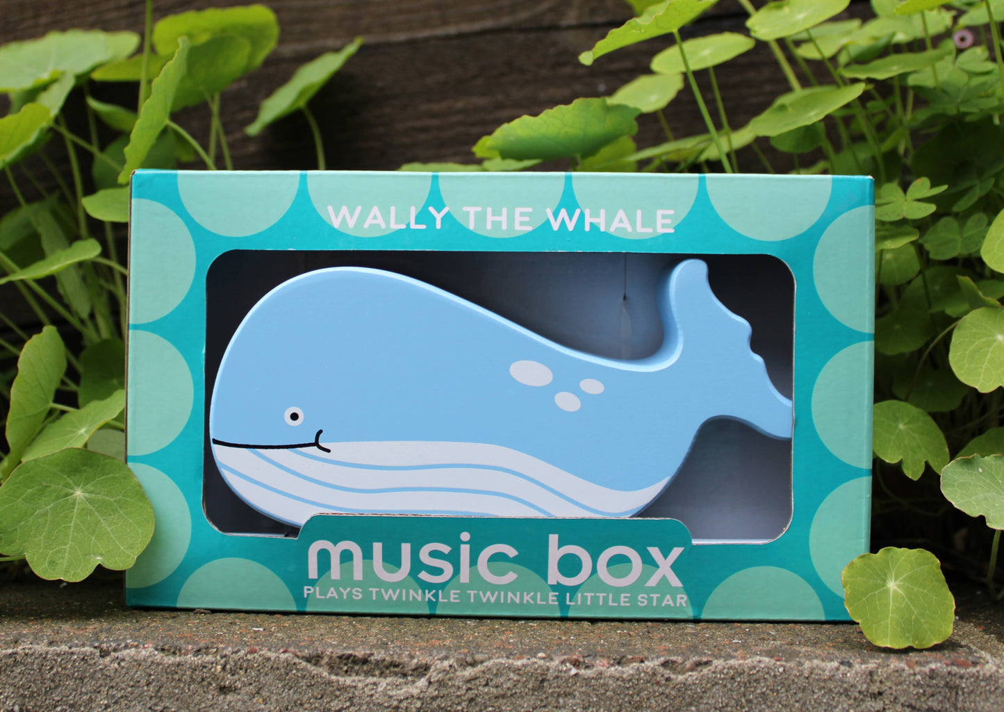 Jack Rabbit Creations - Whale Music Box