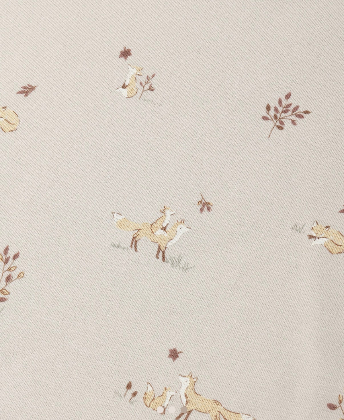 Quincy Mae - Long Sleeve Tee - Fox Land