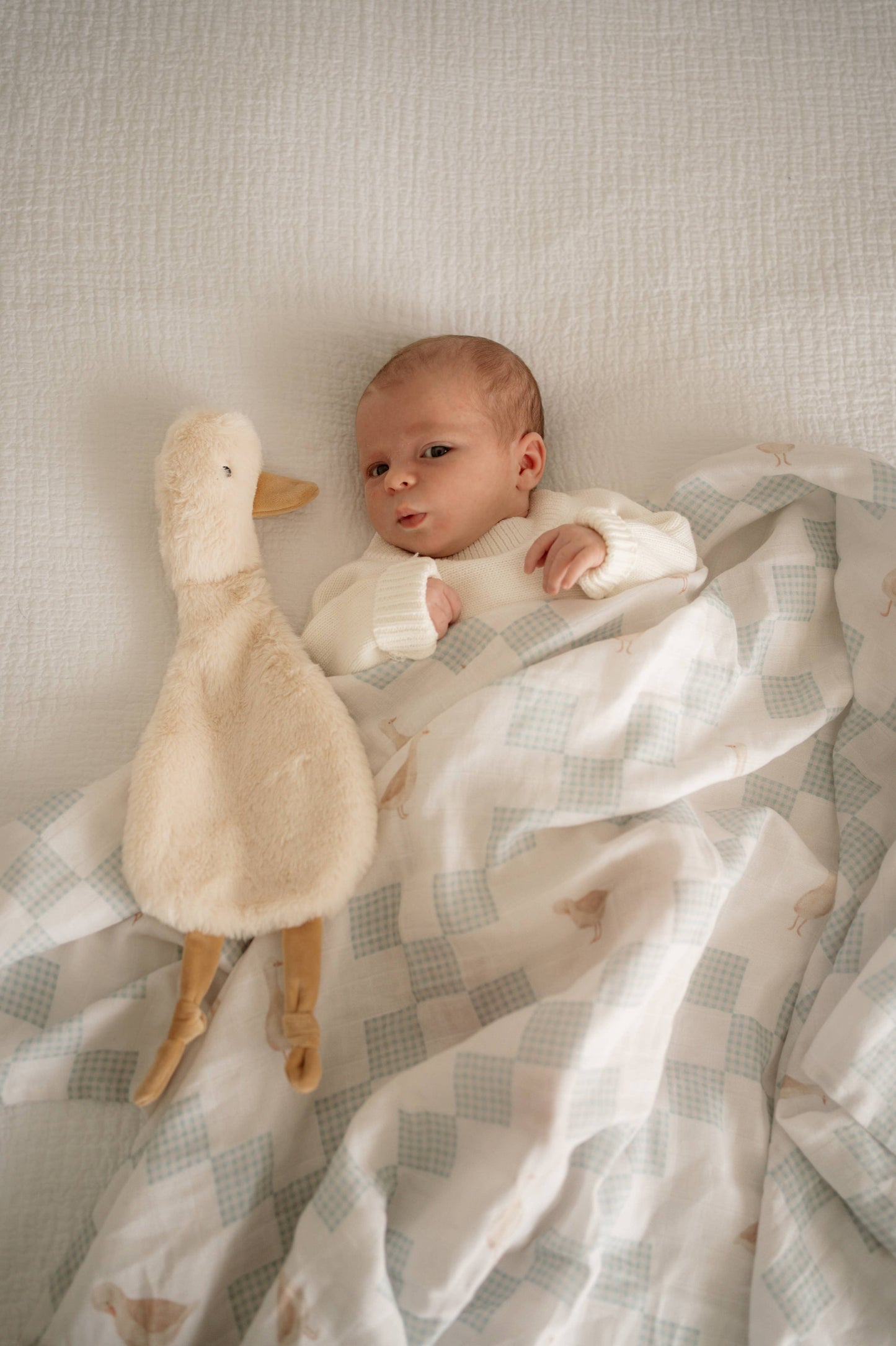 Pop Ya Tot - Waddles the Goose Comforter Toy