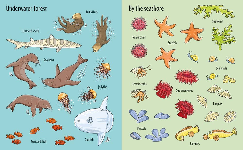 HarperCollins - First Sticker Book Under The Sea : Usborne