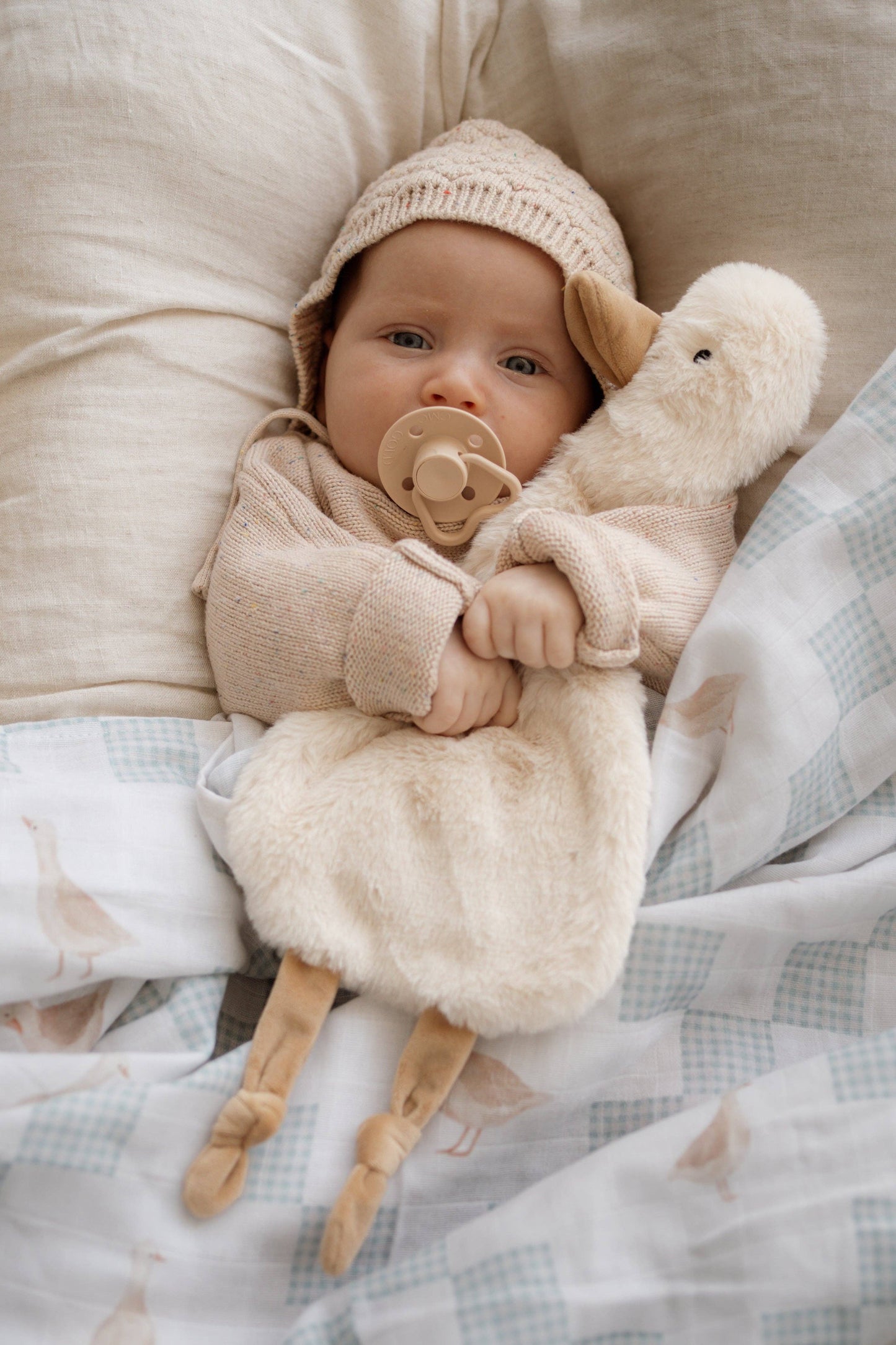 Pop Ya Tot - Waddles the Goose Comforter Toy
