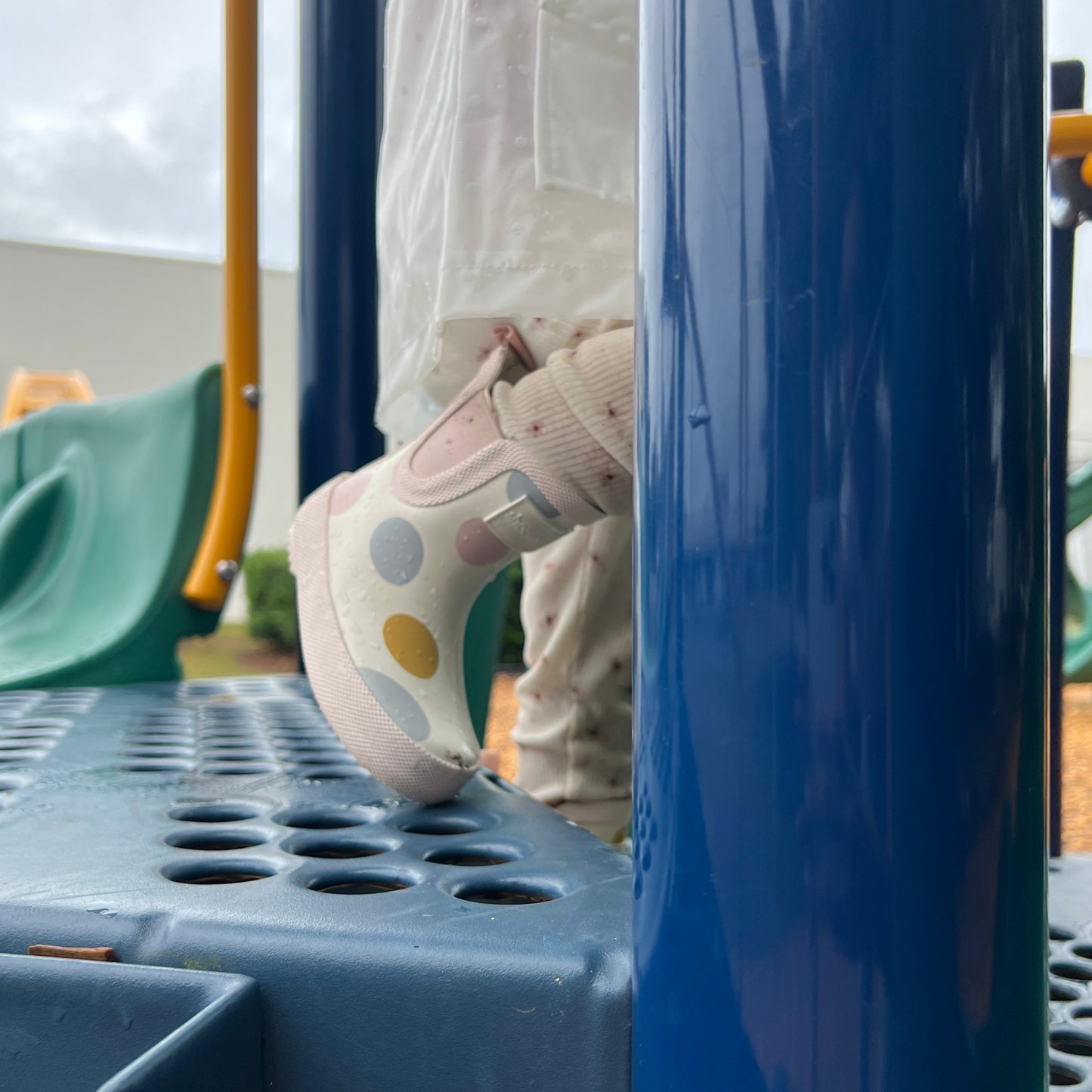 GOBBLE DOTS - online purchase only