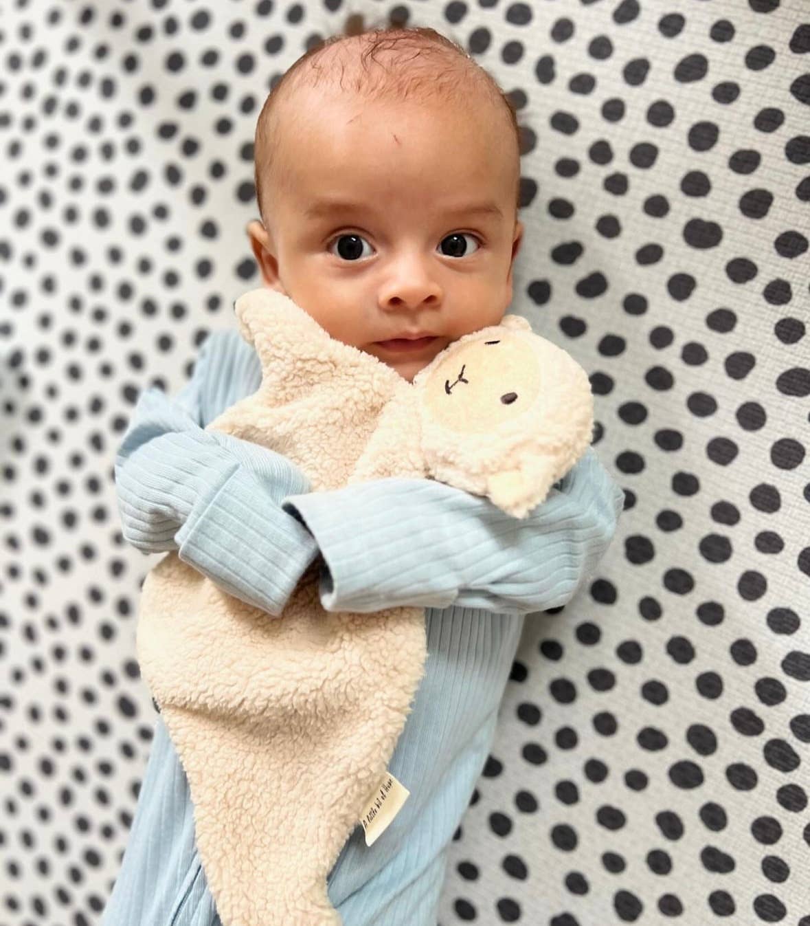 DesignsbyalittlebitofHope - Cream sheep snuggle bear