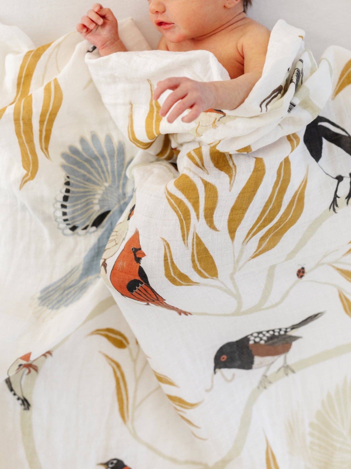 Clementine Kids - For the Birds Swaddle