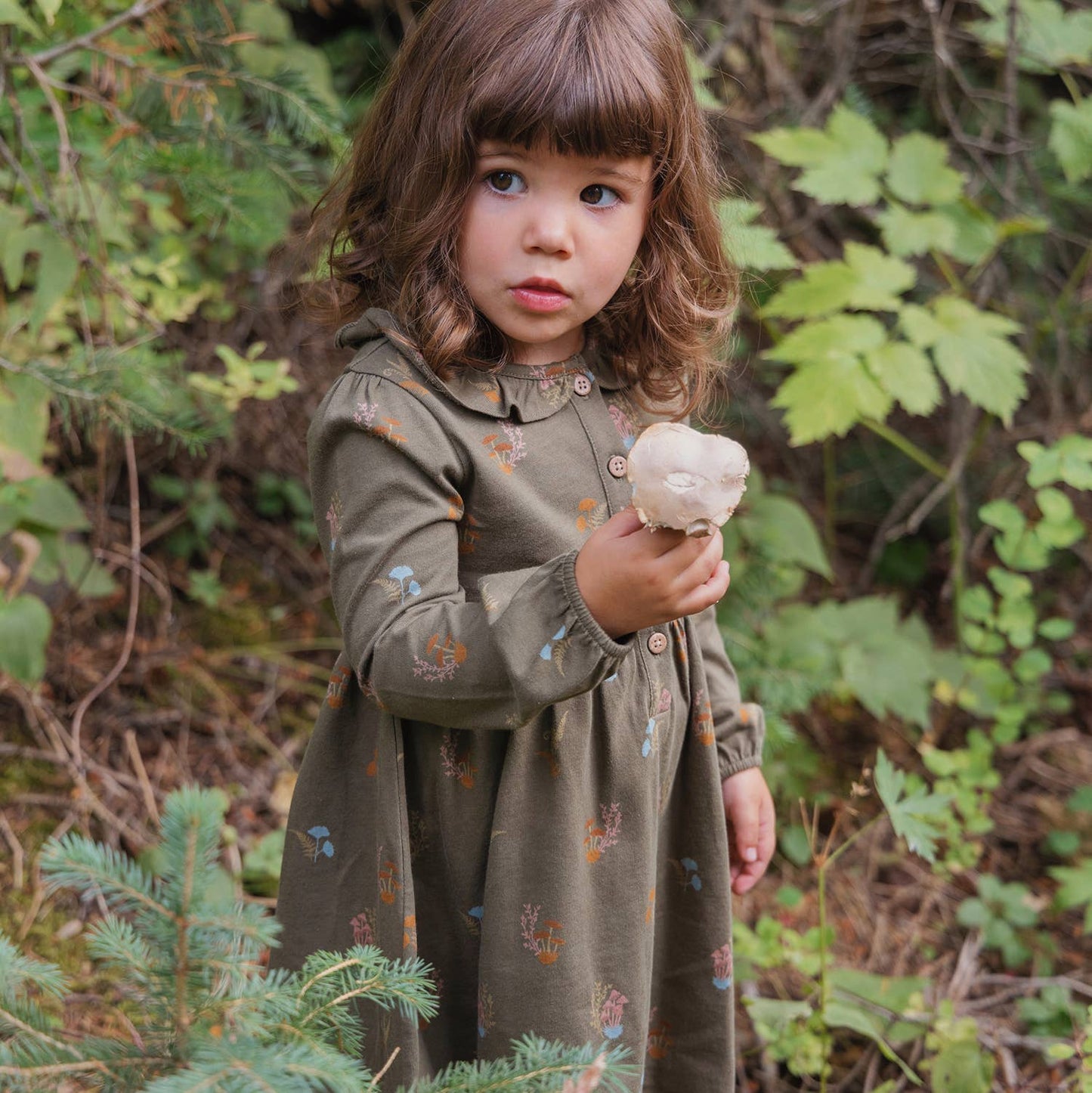 City Mouse Studio - Frill Collar Dress- Lichen Mushrooms