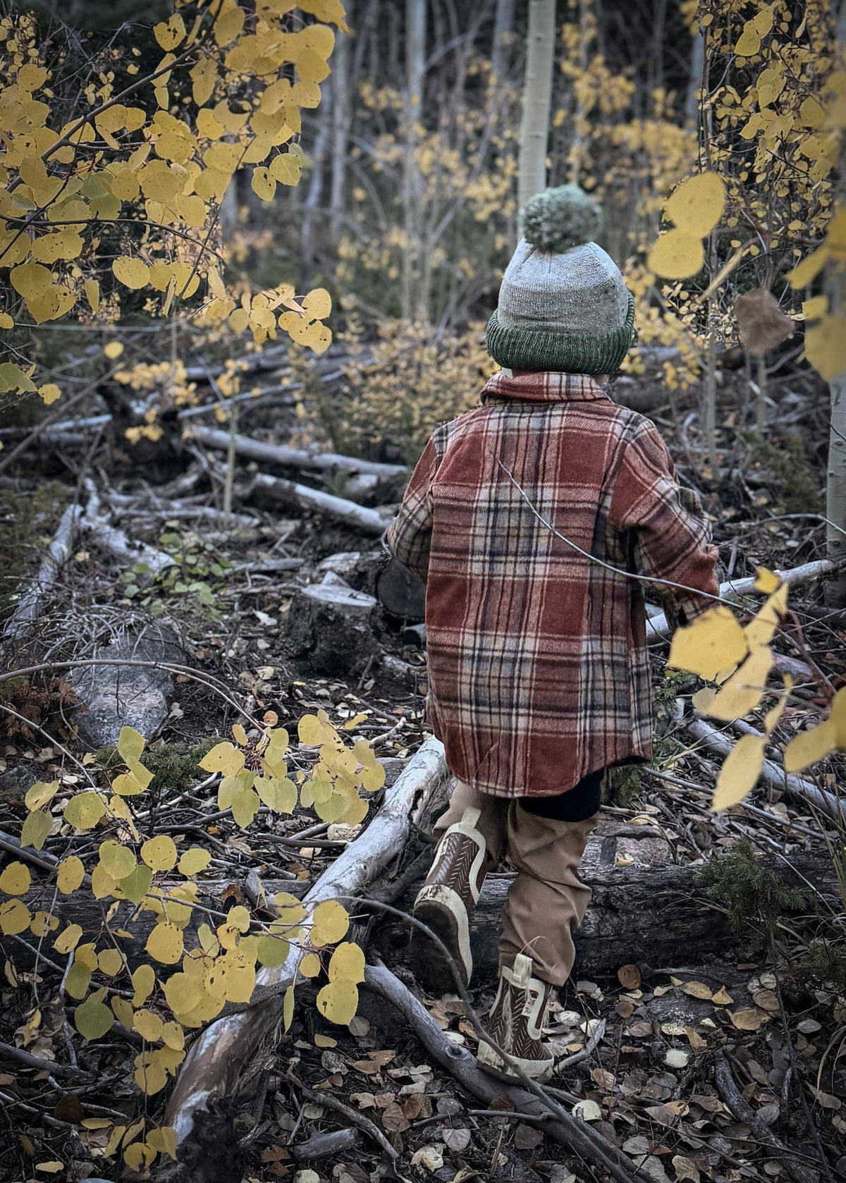 Keep the Littles Wild - Fall flannel